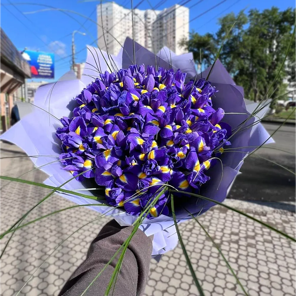 Ирисы