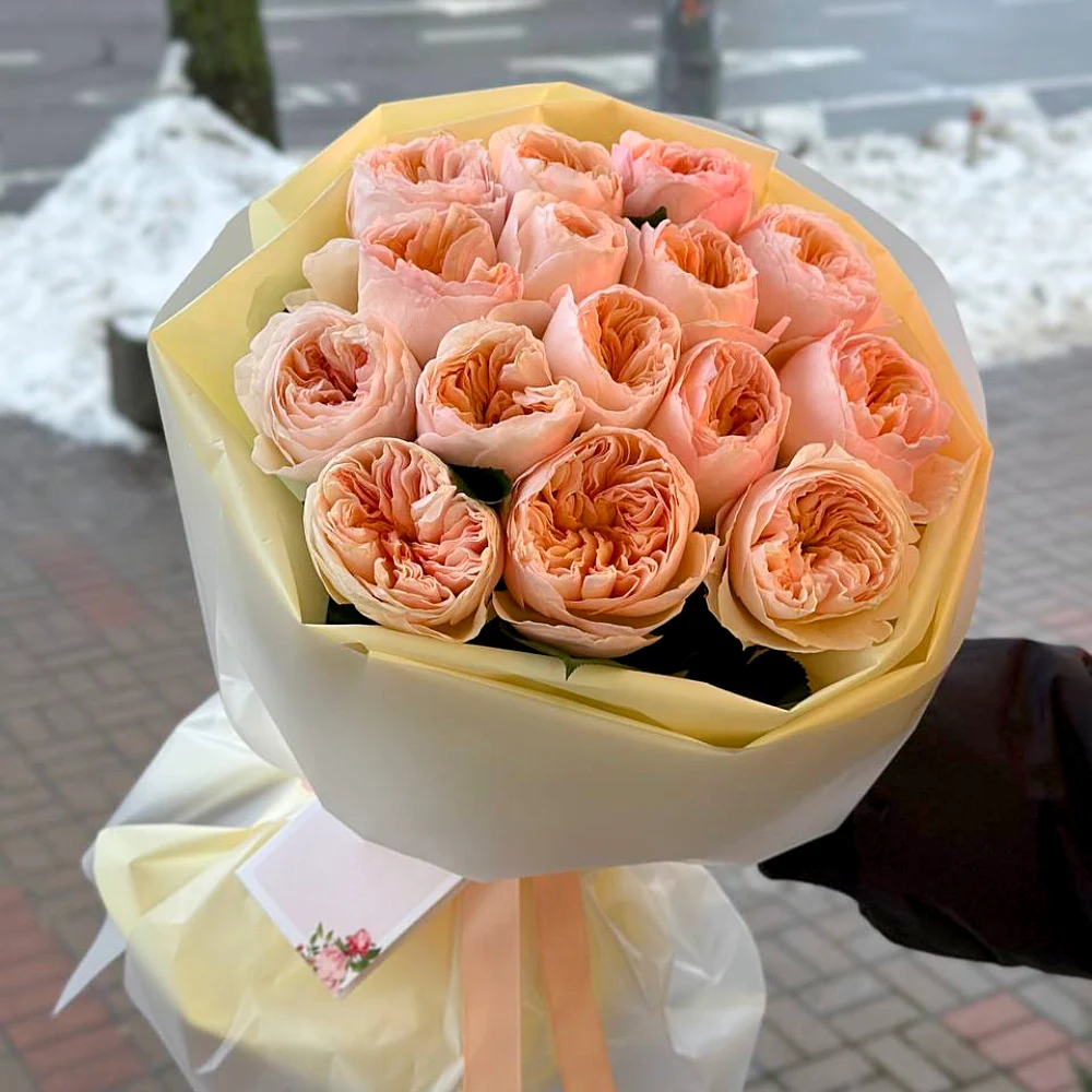 Розовые пионовидные розы