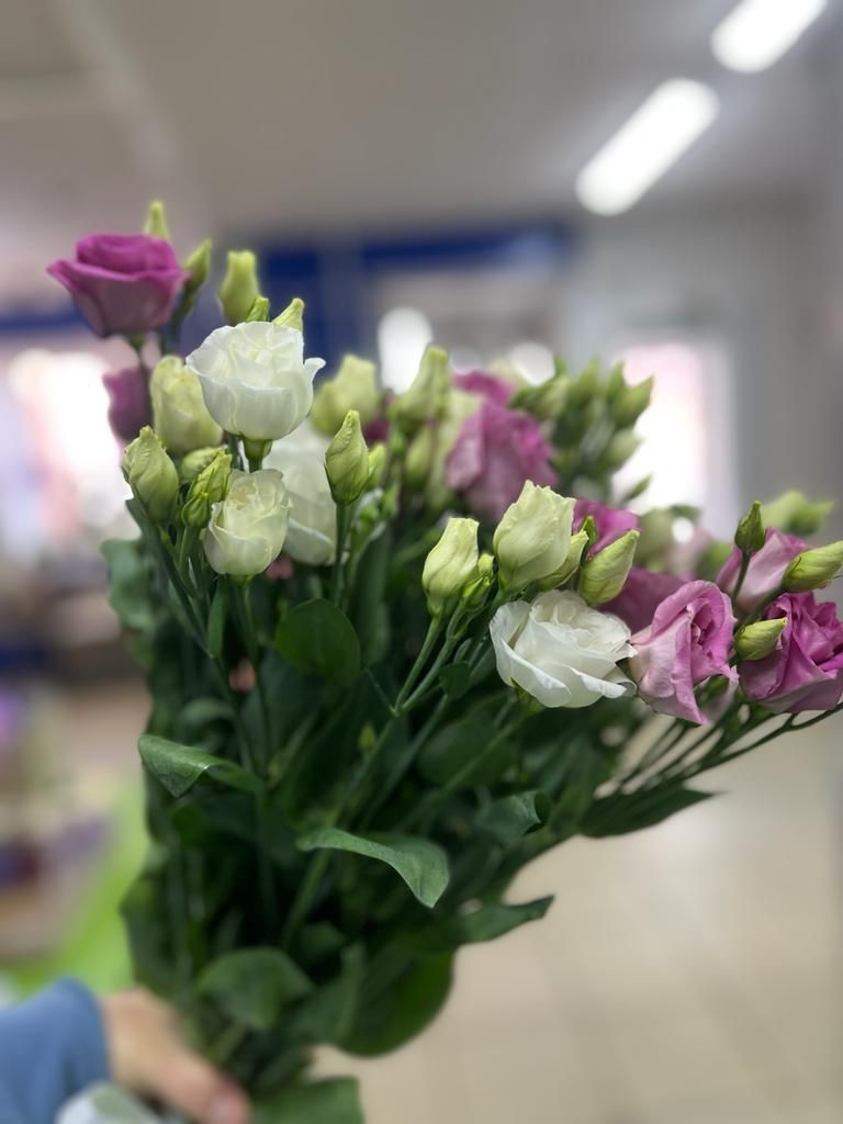 Отзыв от Наталья на сайте Arna Flowers